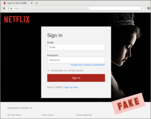 Fake Netflix login example